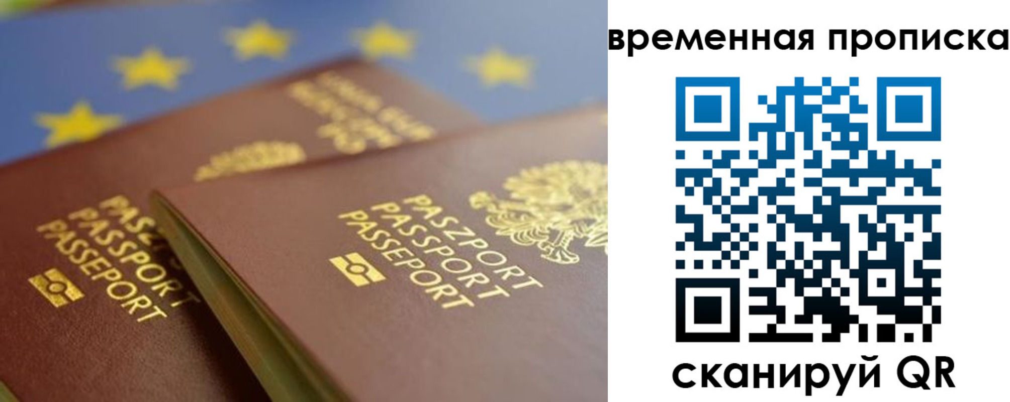 прописка законно в Заринске
